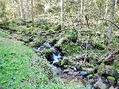 Bach Alb Panoramio