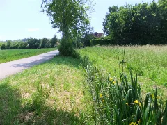 Bach Bei Emmering Geo.hlipp.de 37414