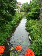 Bach Rheinzabern