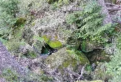 Bach (Zufluss Zur Kleinen Enz) Panoramio