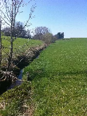 Bachbett Hegibach Nach Quelle