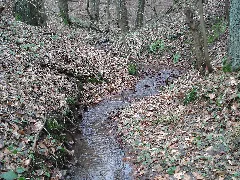Bachquellengraben