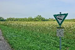 Bad Bellingen Naturschutzgebiet Galgenloch Bild 3