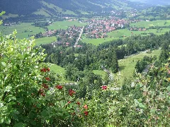 Bad Hindelang Panoramio Giggel