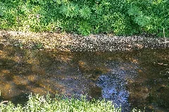Bad Salzuflen 2015 06 07 Lip 045 Holzhauser Bruch (14)