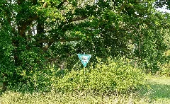 Bad Salzuflen 2015 06 07 Lip 045 Holzhauser Bruch (5)