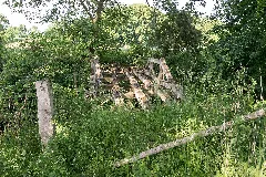 Bad Salzuflen 2015 06 07 Lip 045 Holzhauser Bruch (7)