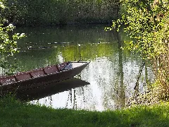 Baden Württemberg, Nördl. Taubergießen In Rheinnähe, Koordinaten 48.296902, 7.700371