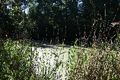 Baden Württemberg, Plüderhausen, Naturdenkmal Fnd 81190550019 02