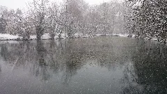 Baders Weiher