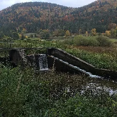 Bära Galgenwiesen 05 Fischtreppe