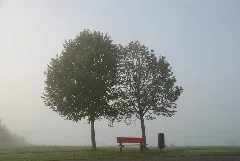 Baettwil So, Herbst (1503651509)