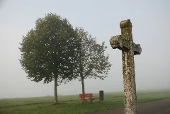 Baettwil So, Herbst Kreuz (1503650893)