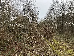 Bahnsteig Schee 1