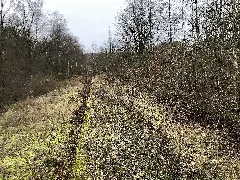 Bahnsteig Schee Heute