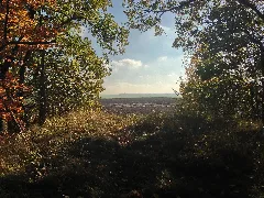 Bahnstrecke Helmstedt–Oebisfelde1