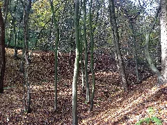 Bahnstrecke Helmstedt–Oebisfelde3
