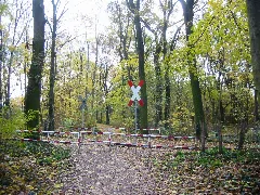 Bahnübergang Im Vogelschutzgebiet Am Wildmeisterdamm In Rudow