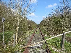 Bahnuebergang Im Wald Wallsbuell Schafflund
