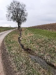 Baierbach (Kocher) 202103 01