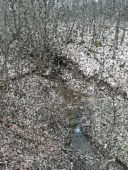 Baierbach (Kocher) 202103 02