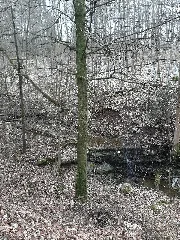 Baierbach (Kocher) 202103 03