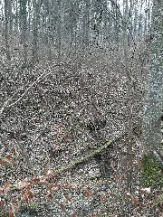Baierbach (Kocher) 202103 05