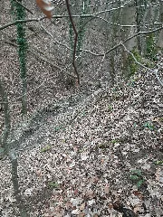 Baierbach (Kocher) 202103 06