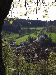 Balingen Streichen 110410