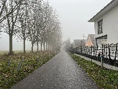 Bamberger Straße Hoppegarten