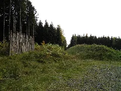 Bank And Ditch Of The Limes With A Reconstructed Palisade At Hillscheid (8118598099)