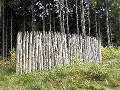 Bank And Ditch Of The Limes With A Reconstructed Palisade At Hillscheid (8118611000)