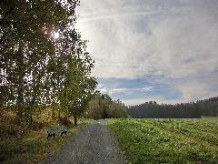 Bank Über Dem Perlenbachtal Panoramio
