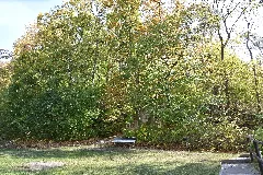 Barbarossahöhle (94) Blick Zum Weg Vom Ausgang