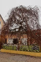 Barbing Panoramio (8)