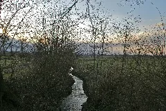 Bargfeld Brooklande Moehlenbek Bi Avend