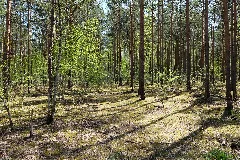 Baruther Urstromtal Und Luckenwalder Heide 2021 05 09 89