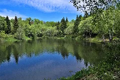 Basaltsee Rhön