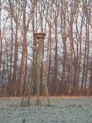Bastauwiesen3