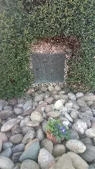 Battle Of Buchhof And Stein Am Kocher War Grave