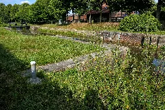 Baumbestand Schleuse Wesuwermoor(Süd Nord Kan.) P4060972