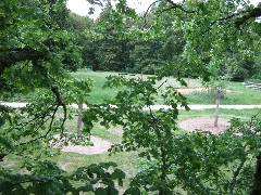 Baumblick 09062013