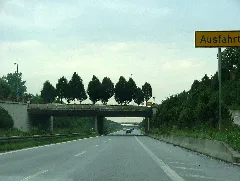 Baumbrücke Panoramio