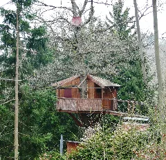 Baumhaus Mit Satellitenanschluss Panoramio