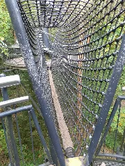 Baumwipfelpfad Biosphärenhaus Dschungelbrücke