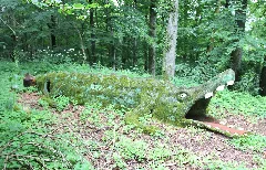 Baustert (Eifel); Waldkrokodil A