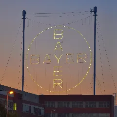Bayer Kreuz
