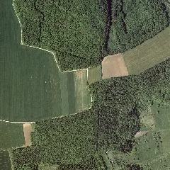 Bayerische Vermessungsverwaltung Dop 604000 5585000 (2005)