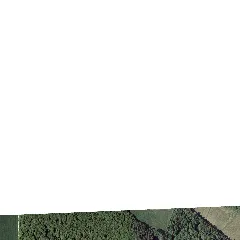 Bayerische Vermessungsverwaltung Dop 604000 5586000 (2005)