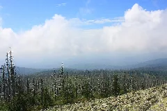 Bayerischer Wald Lusen 001
